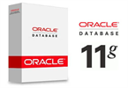Oracle11g-box-100